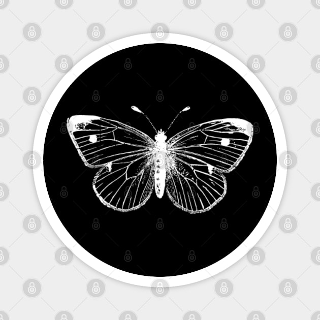 White Monarch Butterfly Magnet by Happy Hour Vibe